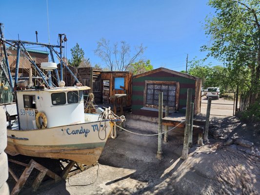 ABQ BioPark Aquarium by null