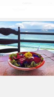 The Buzzz Cafe by Bohol Bee Farm by null