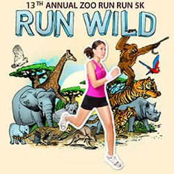Zoo Run Run - Zoo Run Run