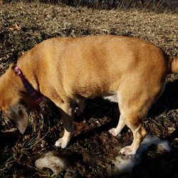 Lots of smells today
