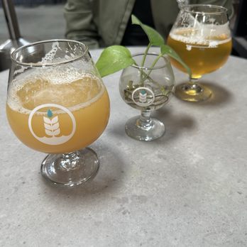 Pure Project - Vista - Brewpubs Near Me - Vista, California Pure Project - Vista - Brewpubs Near Me - Vista, California