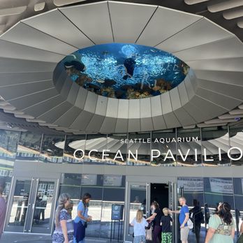 Seattle Aquarium - this is really cool. - Aquariums Near Me - Seattle, Washington