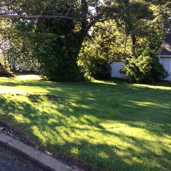 Alternative Earthcare - Tree Services Near Me - Bay Shore, New York Alternative Earthcare - Tree Services Near Me - Bay Shore, New York