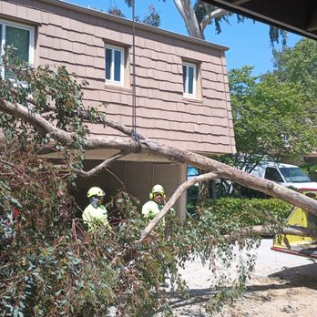 Gold Coast Tree Service - Tree Services Near Me - Simi Valley, California