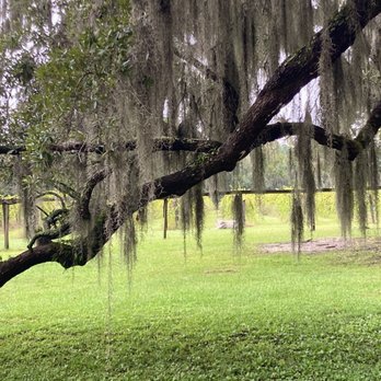 Deep Water Vineyard - Wineries Near Me - Wadmalaw Island, South Carolina Deep Water Vineyard - Wineries Near Me - Wadmalaw Island, South Carolina