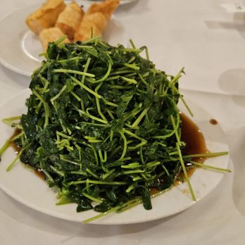 Great Seafood Harbor - Dim Sum Near Me - Artesia, California Great Seafood Harbor - Dim Sum Near Me - Artesia, California