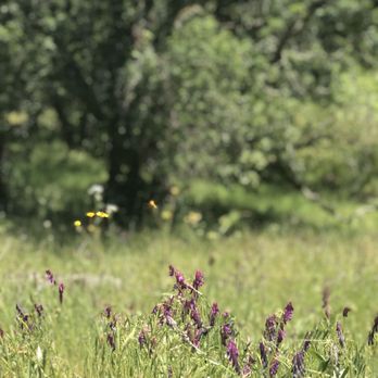 Trione-Annadel State Park - Parks Near Me - Santa Rosa, California Trione-Annadel State Park - Parks Near Me - Santa Rosa, California