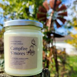 Elderberry Marsh - Hand poured 100% soy candles