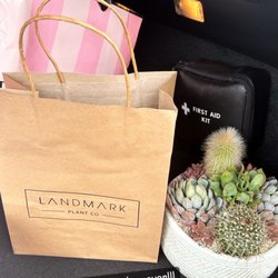 Landmark Plant - Purchased this , cowboy matches!