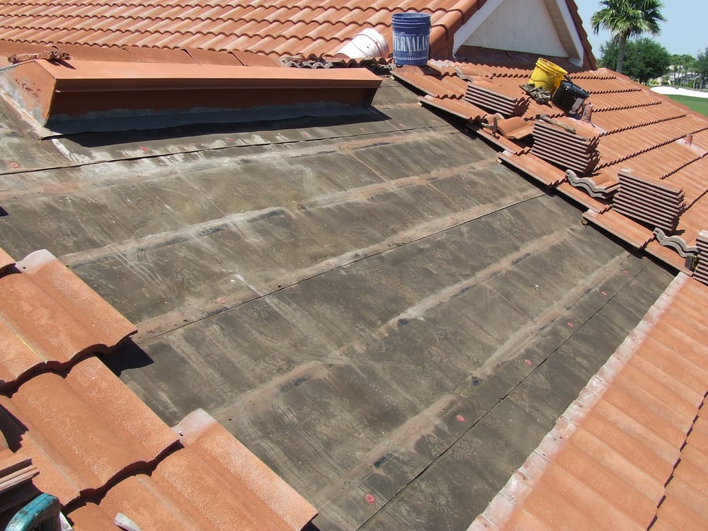 Slide of C F McFadden Jr