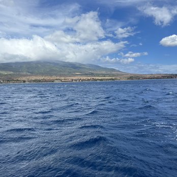 Gemini Sailing Charters - No better way to experience the island - Boating Near Me - Lahaina, Hawaii Gemini Sailing Charters - No better way to experience the island - Boating Near Me - Lahaina, Hawaii