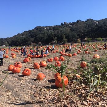 Bates Nut Farm - Specialty Food Near Me - Valley Center, California Bates Nut Farm - Specialty Food Near Me - Valley Center, California