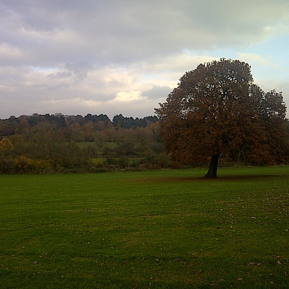 Pype Hayes Park - Active Life Near Me - Birmingham, XWM
