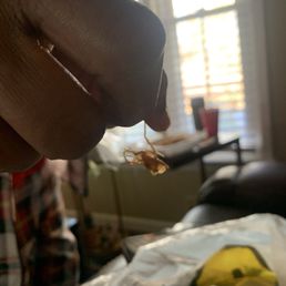 A BUG!! A BUG!!