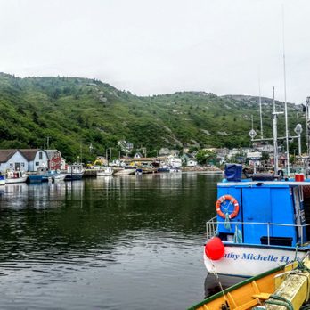 Petty Harbour Mini Aquarium - Aquariums Near Me - Petty Harbour, Newfoundland and Labrador