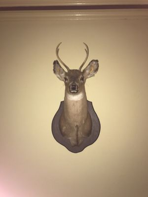 Porcupine Bed & Breakfast by null