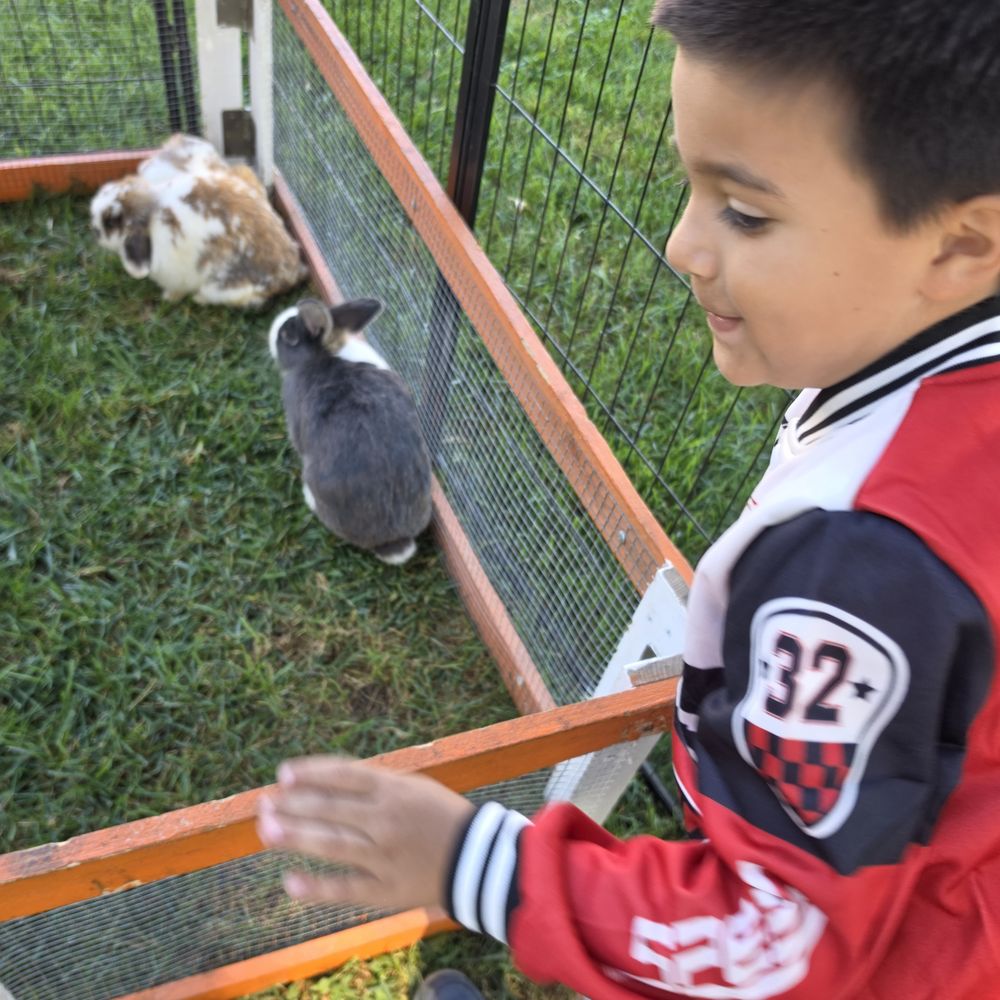 D'Rose Petting Zoo - Petting Zoos Near Me - Gilroy, California D'Rose Petting Zoo - Petting Zoos Near Me - Gilroy, California