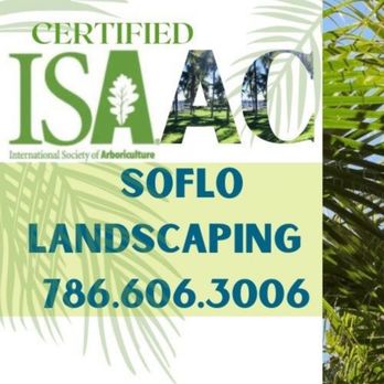 SoFlo Landscape & Design - a palm tree - Tree Services Near Me SoFlo Landscape & Design - a palm tree - Tree Services Near Me