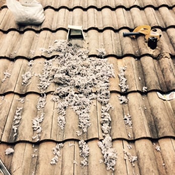 All Around Home Care LLC, Dryer Vent Cleaning - Very dirty dryer vent!!! - Home Cleaning Near Me - Cape Coral, Florida All Around Home Care LLC, Dryer Vent Cleaning - Very dirty dryer vent!!! - Home Cleaning Near Me - Cape Coral, Florida