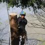 K&D Tree Service