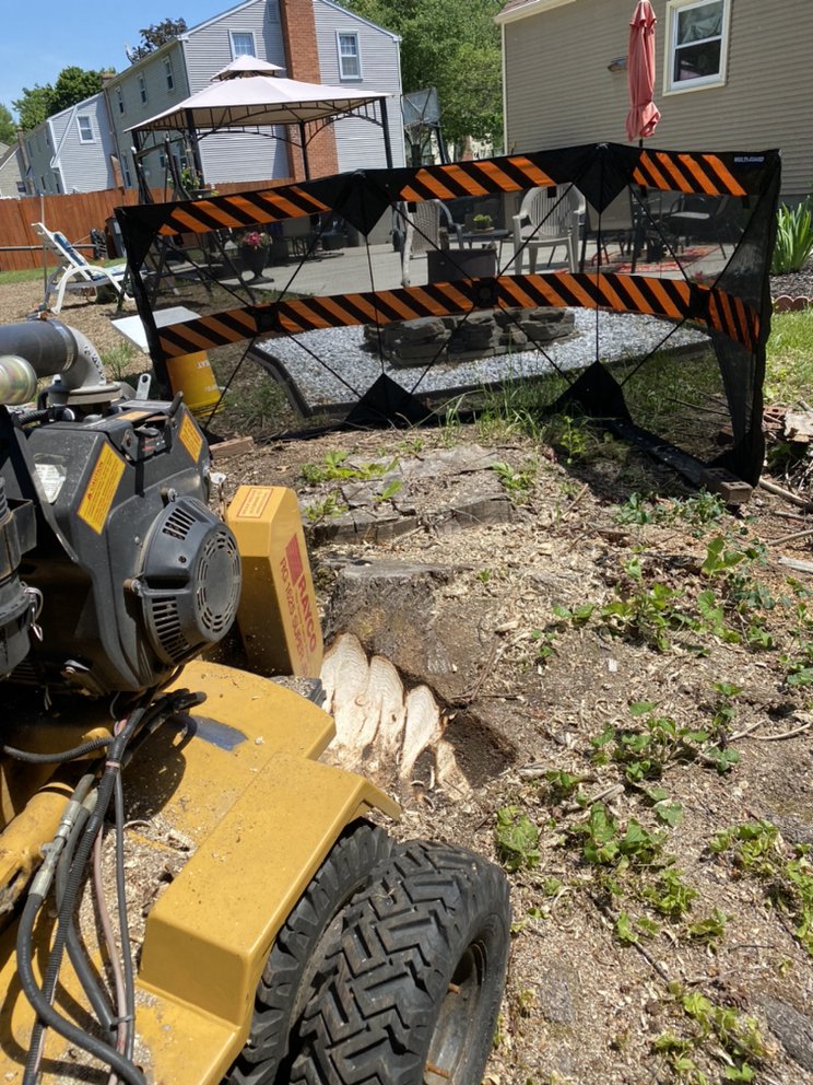 Stump & Grind - veterans service organization in Longmeadow, MA