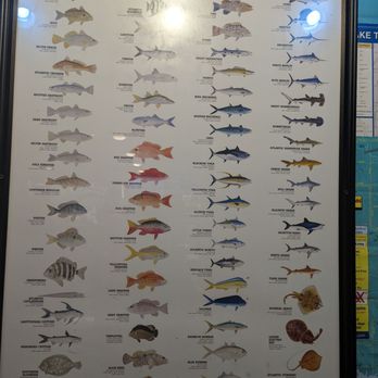 Flying Fish - Seafood Near Me - Plano, Texas