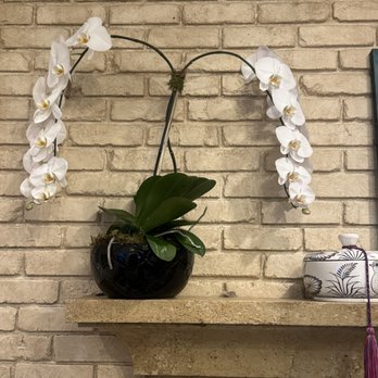 Mary's Flowers - Arrangements by Mary Parks - Florists Near Me - Los Angeles, California Mary's Flowers - Arrangements by Mary Parks - Florists Near Me - Los Angeles, California