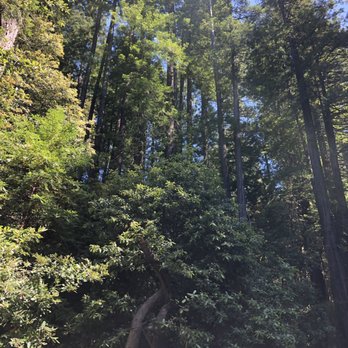 Skunk Train - Tours Near Me - Fort Bragg, California