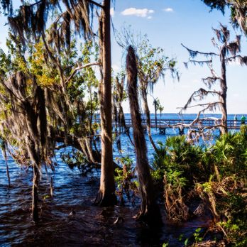 Riverfront Park - Fishing Pier Riverfront Park - Parks Near Me - Saint Johns, Florida