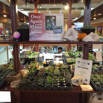 once again - The stand - Pop-up Shops Near Me - Kaneohe, Hawaii once again - The stand - Pop-up Shops Near Me - Kaneohe, Hawaii