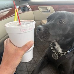 Kirt's Drive-In - Chocolate malt 32 ounces