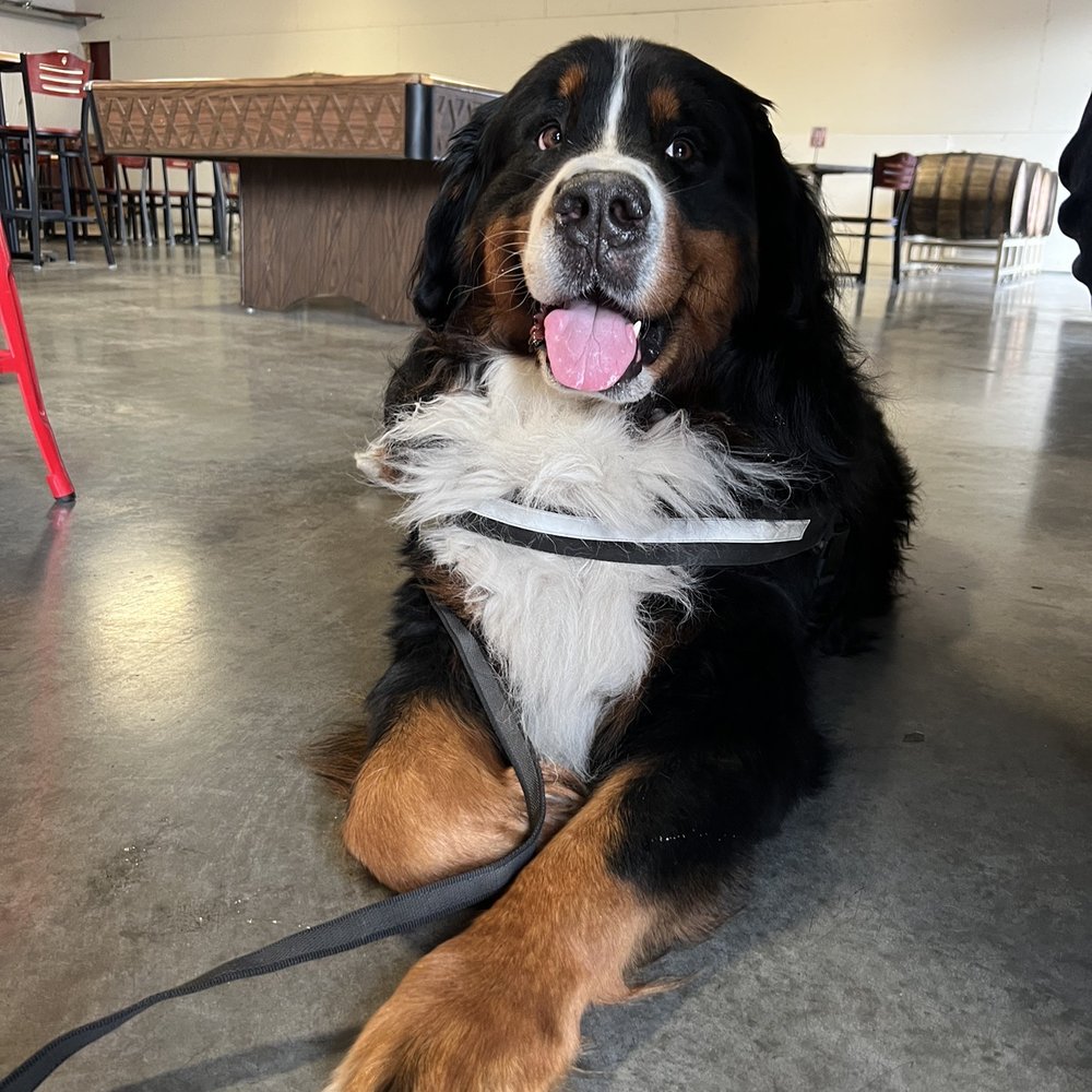 Ghost Runners Brewery and Kitchen - Dog friendly - Beer Bar Near Me - Vancouver, Washington Ghost Runners Brewery and Kitchen - Dog friendly - Beer Bar Near Me - Vancouver, Washington