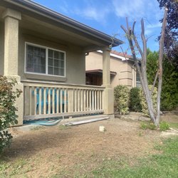 Ward Bros - Stump removed