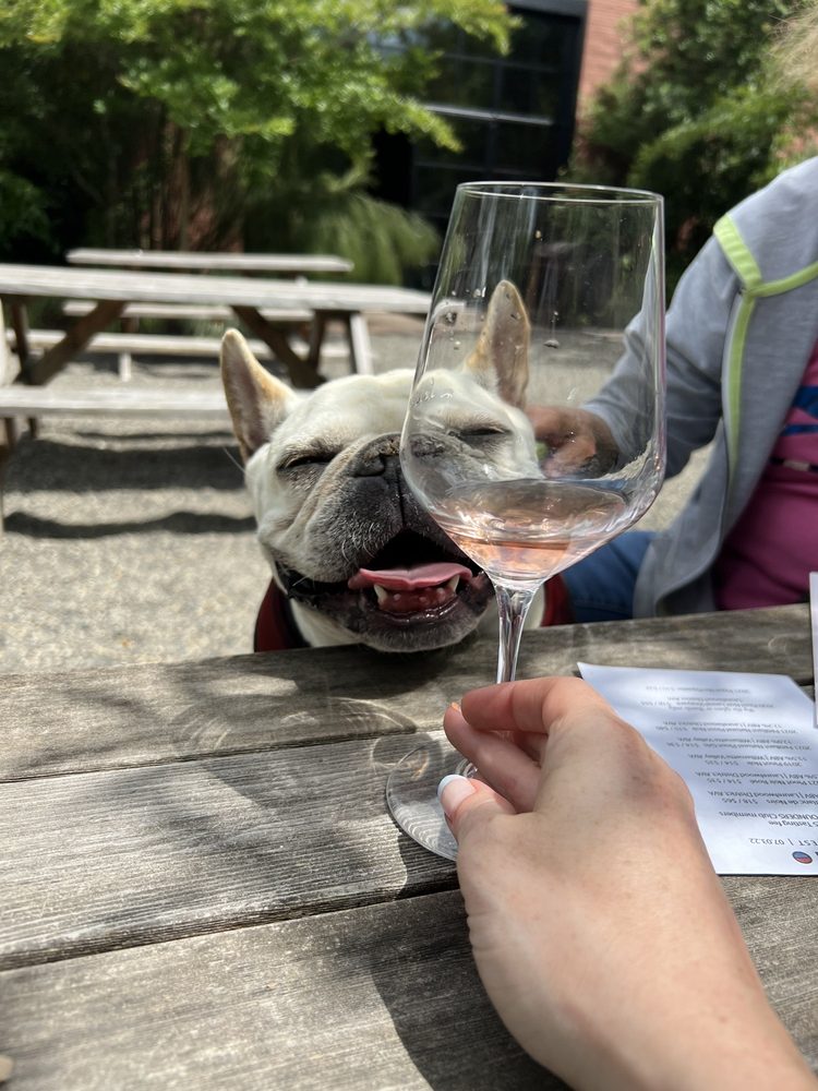 J and J Wine Merchants - vineyard in Portland, OR