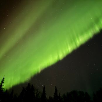Aurora Husky Lodge - Tours Near Me - Fairbanks, Alaska Aurora Husky Lodge - Tours Near Me - Fairbanks, Alaska