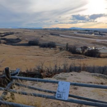 Glendale Open Space Dog Park - Dog Parks Near Me - Castle Rock, Colorado