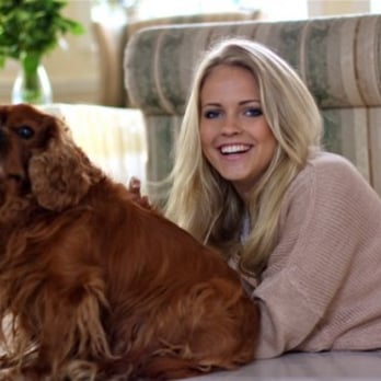 Bay Area Crate Escape - Pet Sitting Near Me - San Mateo, California Bay Area Crate Escape - Pet Sitting Near Me - San Mateo, California