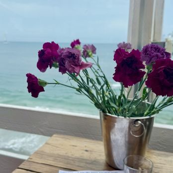 Malibu Farm Restaurant - Salad Near Me - Malibu, California