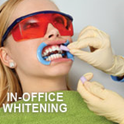 Domenic Riccobono, DDS - Countryside Dental