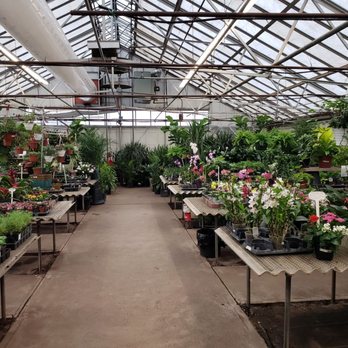 Strader S Garden Centers 15 Photos 21 Reviews Nurseries