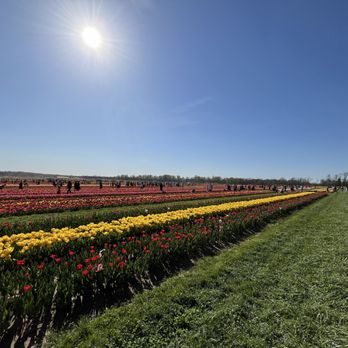HOLLAND RIDGE FARMS - Updated October 2024 - 1723 Photos & 127 Reviews ...