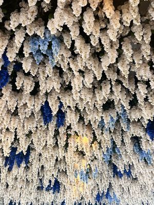 The Bloom Lounge by null