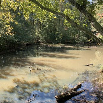 Constitution Lakes Park and Wilderness Area - Parks Near Me - Atlanta, Georgia Constitution Lakes Park and Wilderness Area - Parks Near Me - Atlanta, Georgia
