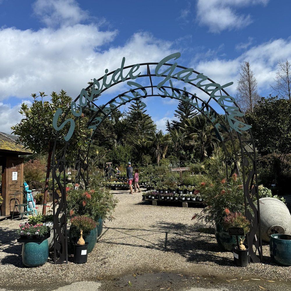 Seaside Gardens - Seaside gardens - Nurseries & Gardening Near Me - Carpinteria, California