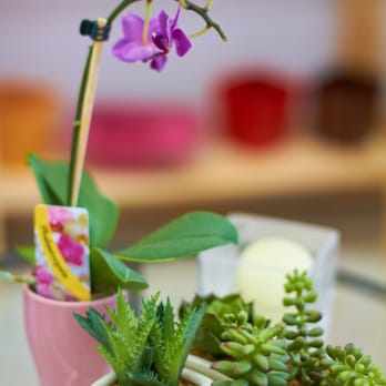 Ottawa Kennedy Flower Shop - Florists Near Me - Ottawa, Ontario Ottawa Kennedy Flower Shop - Florists Near Me - Ottawa, Ontario