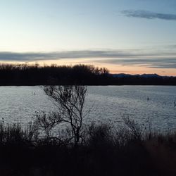 Riverbend Ponds Natural Area