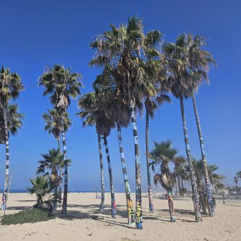 Venice Beach Boardwalk - Beaches Near Me - Venice, California Venice Beach Boardwalk - Beaches Near Me - Venice, California