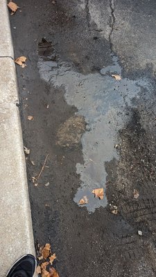 Meineke Car Care Center