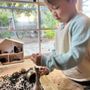 Photo of Eco-Wonderschool