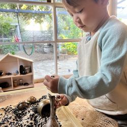 Eco-Wonderschool
